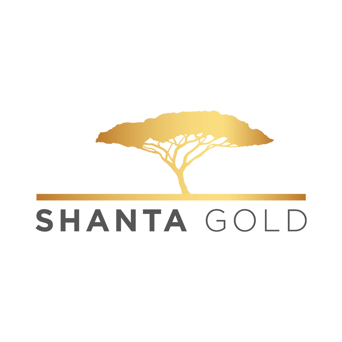 Shanta Mining Company Limited